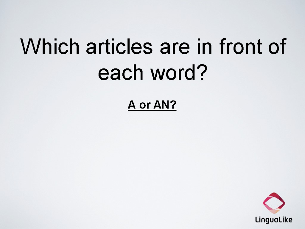 Which articles are in front of each word? A or AN?